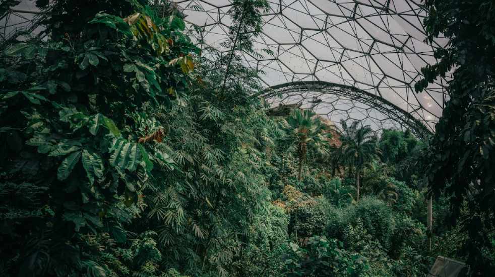 Inside the Eden Project